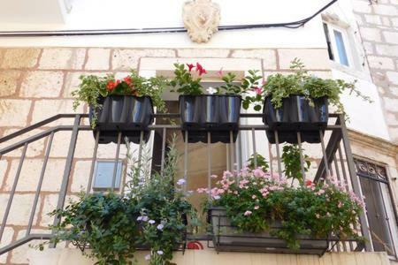 Apartment Punat Korcula Town Luaran gambar
